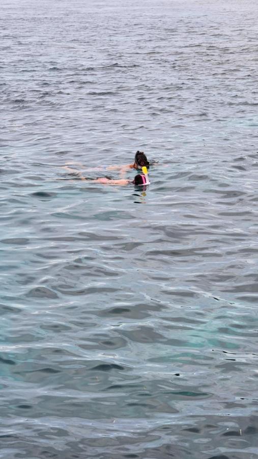 Terimakasih Homestay Pulau Mansuar Exteriör bild