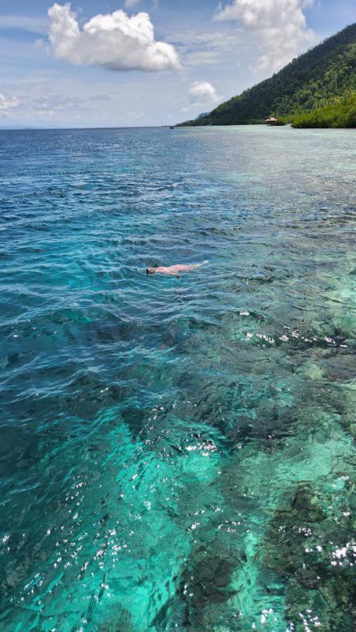 Terimakasih Homestay Pulau Mansuar Exteriör bild