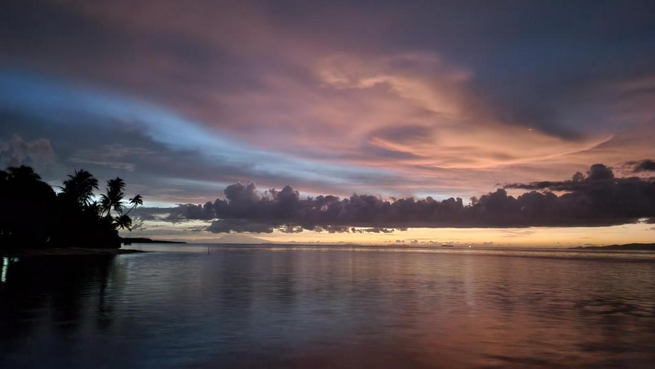 Terimakasih Homestay Pulau Mansuar Exteriör bild